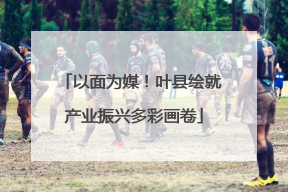 以面为媒！叶县绘就产业振兴多彩画卷