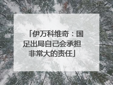 伊万科维奇：国足出局自己会承担非常大的责任