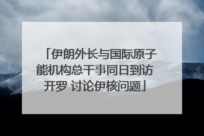 伊朗外长与国际原子能机构总干事同日到访开罗 讨论伊核问题
