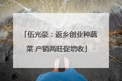 伍光豪：返乡创业种蔬菜 产销两旺促增收