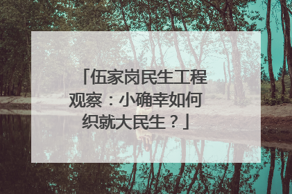 伍家岗民生工程观察：小确幸如何织就大民生？