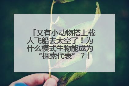 又有小动物搭上载人飞船去太空了！为什么模式生物能成为“探索代表”？
