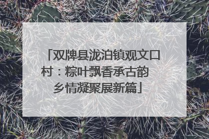 双牌县泷泊镇观文口村：粽叶飘香承古韵 乡情凝聚展新篇