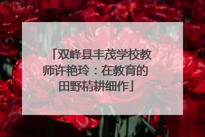 双峰县丰茂学校教师许艳玲：在教育的田野精耕细作