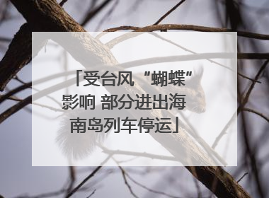受台风“蝴蝶”影响 部分进出海南岛列车停运