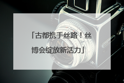 古都携手丝路！丝博会绽放新活力