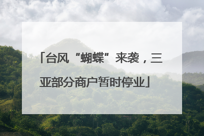 台风“蝴蝶”来袭，三亚部分商户暂时停业