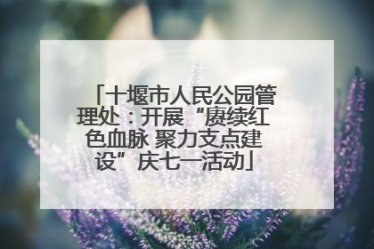 十堰市人民公园管理处：开展“赓续红色血脉 聚力支点建设”庆七一活动