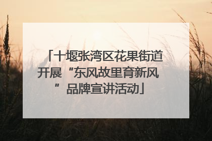 十堰张湾区花果街道开展“东风故里育新风”品牌宣讲活动