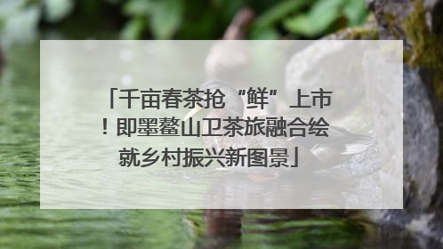 千亩春茶抢“鲜”上市！即墨鳌山卫茶旅融合绘就乡村振兴新图景