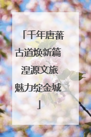 千年唐蕃古道焕新篇 湟源文旅魅力绽金城