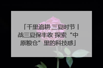 千里追耕·三夏时节丨战三夏保丰收 探索“中原粮仓”里的科技感