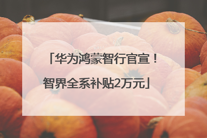 华为鸿蒙智行官宣！智界全系补贴2万元