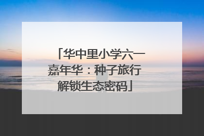 华中里小学六一嘉年华：种子旅行解锁生态密码