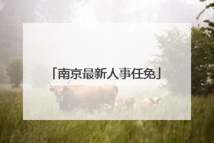南京最新人事任免