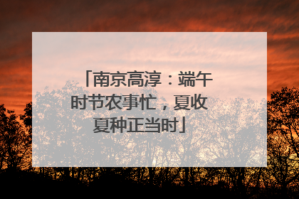 南京高淳：端午时节农事忙，夏收夏种正当时