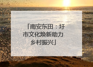 南安东田：圩市文化焕新助力乡村振兴