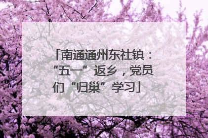 南通通州东社镇：“五一”返乡，党员们“归巢”学习