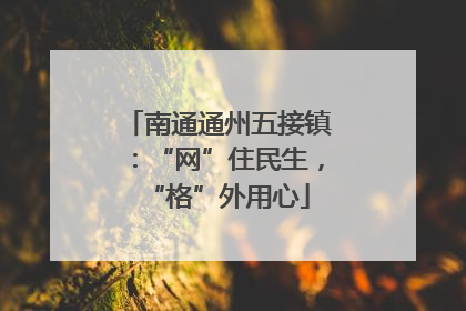 南通通州五接镇：“网”住民生，“格”外用心