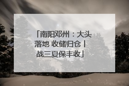南阳邓州：大头落地 收储归仓丨战三夏保丰收
