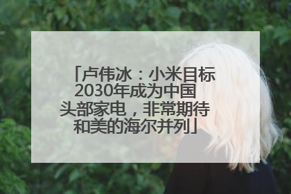 卢伟冰：小米目标2030年成为中国头部家电，非常期待和美的海尔并列