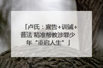 卢氏：宣告+训诫+普法 精准帮教涉罪少年“重启人生”