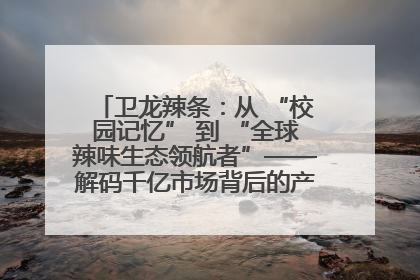 卫龙辣条：从 “校园记忆” 到 “全球辣味生态领航者”——解码千亿市场背后的产品创新与全链路破圈