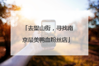 去望山街，寻找南京最美鸭血粉丝店