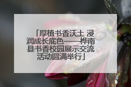 厚植书香沃土 浸润成长底色——桦南县书香校园展示交流活动圆满举行