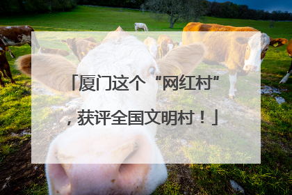 厦门这个“网红村”，获评全国文明村！