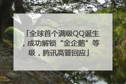 全球首个满级QQ诞生，成功解锁“金企鹅”等级，腾讯高管回应