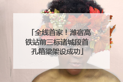 全线首家！潍宿高铁站前三标诸城段首孔箱梁架设成功
