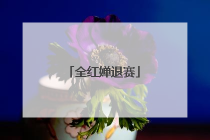 全红婵退赛