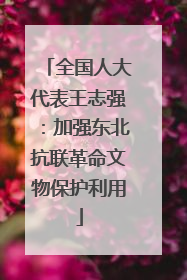 全国人大代表王志强：加强东北抗联革命文物保护利用