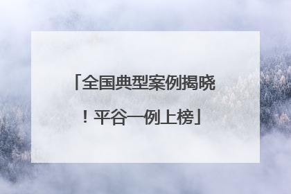 全国典型案例揭晓！平谷一例上榜