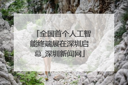 全国首个人工智能终端展在深圳启幕_深圳新闻网