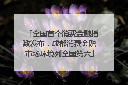 全国首个消费金融指数发布，成都消费金融市场环境列全国第六
