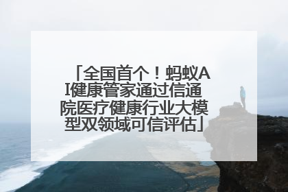 全国首个！蚂蚁AI健康管家通过信通院医疗健康行业大模型双领域可信评估