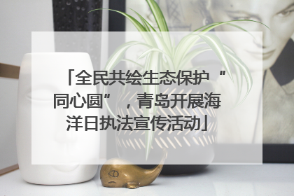 全民共绘生态保护“同心圆”，青岛开展海洋日执法宣传活动