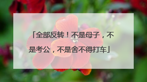 全部反转！不是母子，不是考公，不是舍不得打车