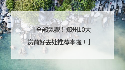 全部免费！郑州10大赏荷好去处推荐来啦！