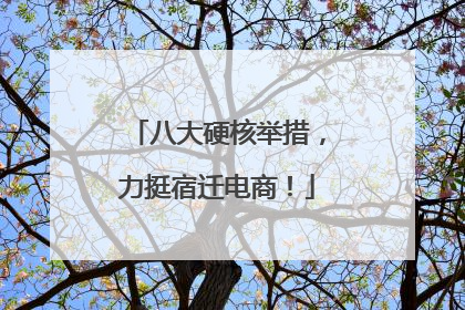 八大硬核举措，力挺宿迁电商！