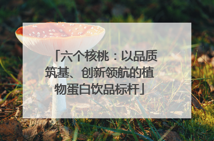 六个核桃：以品质筑基、创新领航的植物蛋白饮品标杆