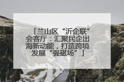 兰山区“沂企联”会客厅：汇聚民企出海新动能，打造跨境发展“强磁场”