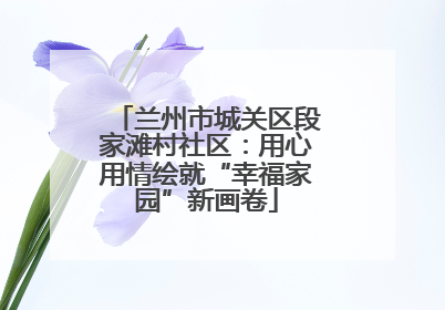 兰州市城关区段家滩村社区：用心用情绘就“幸福家园”新画卷