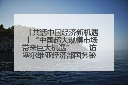 共话中国经济新机遇丨“中国超大规模市场带来巨大机遇”——访塞尔维亚经济部国务秘书尼科利奇