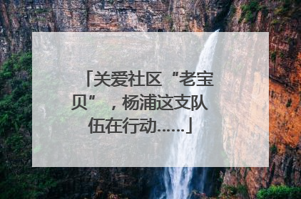 关爱社区“老宝贝”，杨浦这支队伍在行动……