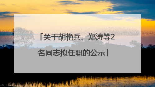 关于胡艳兵、郑涛等2名同志拟任职的公示