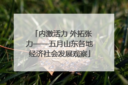 内激活力 外拓张力——五月山东各地经济社会发展观察
