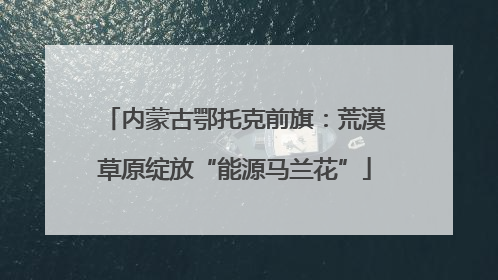 内蒙古鄂托克前旗：荒漠草原绽放“能源马兰花”
